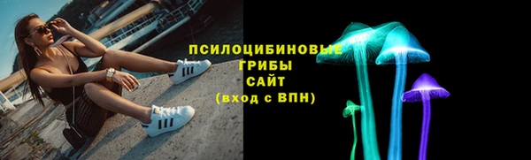 гашик Верхний Тагил
